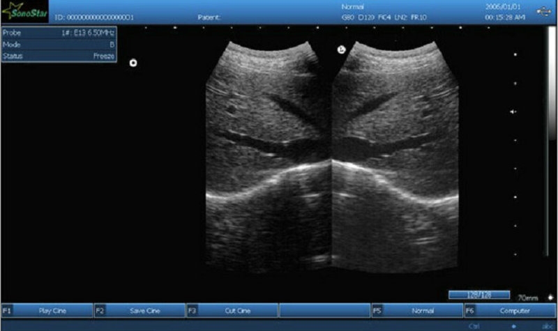 Top China Supplier of Elderly Rehabilitation and Beauty Care Products