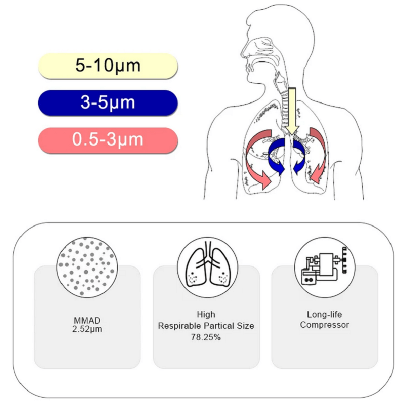 Top China Supplier of Elderly Rehabilitation and Beauty Care Products Top China Supplier of Elderly Rehabilitation and Beauty Care Products