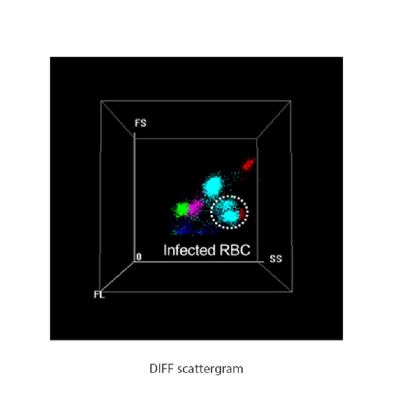 Top China Supplier of Elderly Rehabilitation and Beauty Care Products