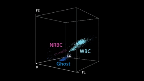 Top China Supplier of Elderly Rehabilitation and Beauty Care Products