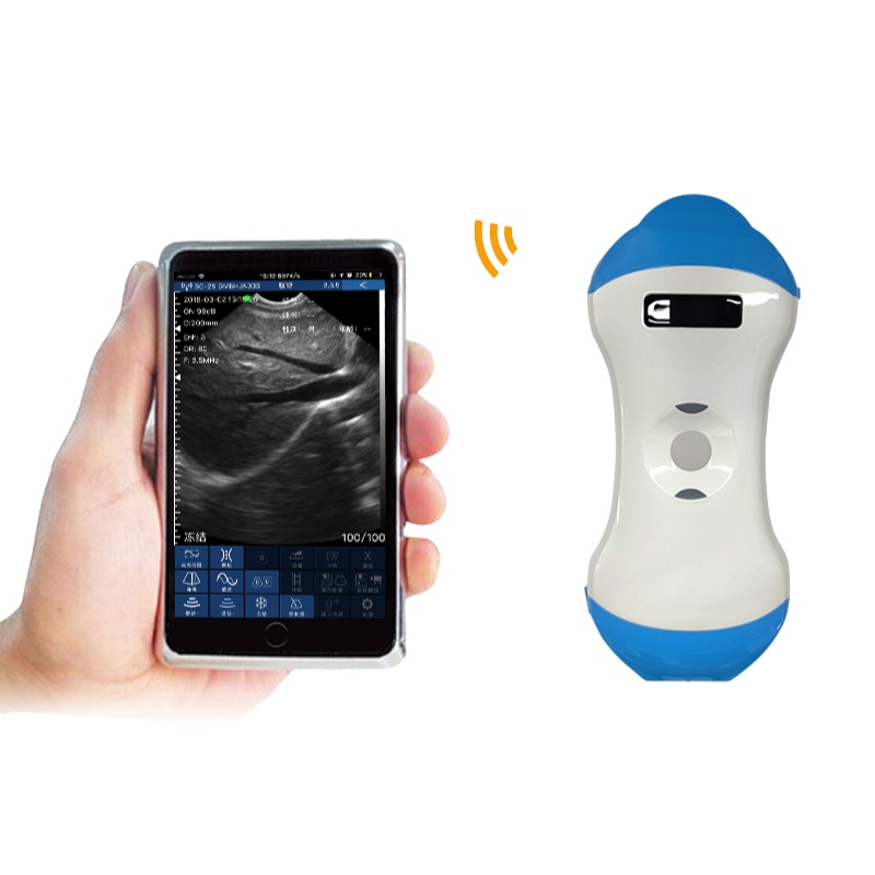 Top China Supplier of Elderly Rehabilitation and Beauty Care Products