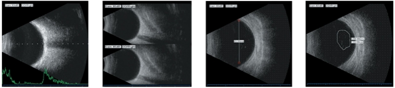 Top China Supplier of Elderly Rehabilitation and Beauty Care Products Top China Supplier of Elderly Rehabilitation and Beauty Care Products