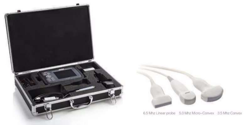 Top China Supplier of Elderly Rehabilitation and Beauty Care Products Top China Supplier of Elderly Rehabilitation and Beauty Care Products