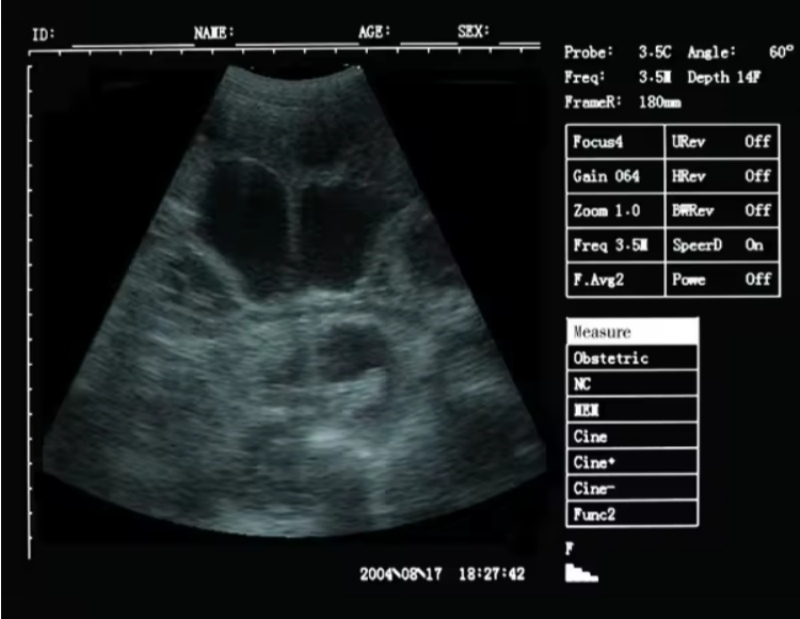 Top China Supplier of Elderly Rehabilitation and Beauty Care Products Top China Supplier of Elderly Rehabilitation and Beauty Care Products