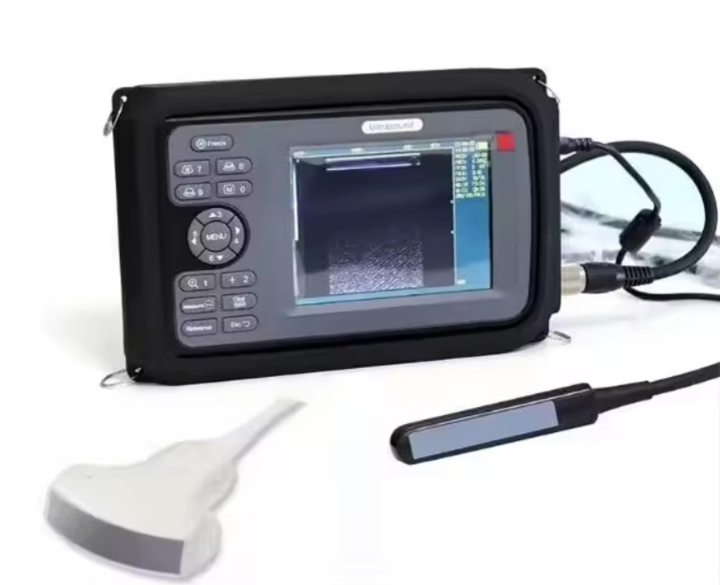 Top China Supplier of Elderly Rehabilitation and Beauty Care Products Top China Supplier of Elderly Rehabilitation and Beauty Care Products