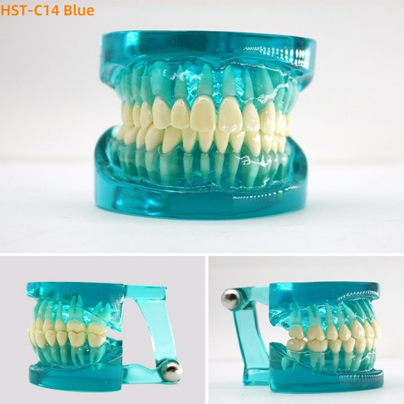 Top China Supplier of Elderly Rehabilitation and Beauty Care Products