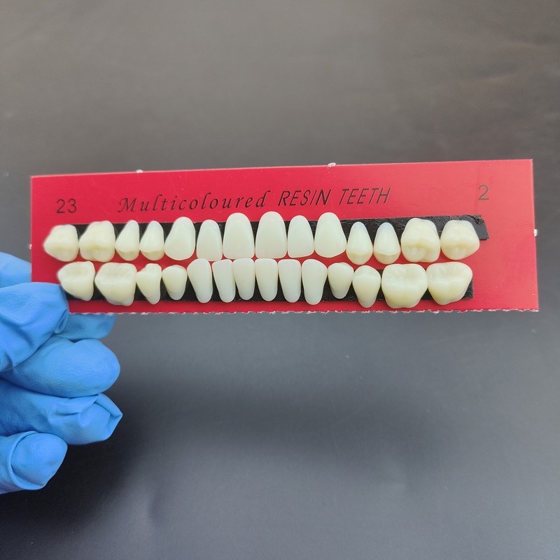 Top China Supplier of Elderly Rehabilitation and Beauty Care Products