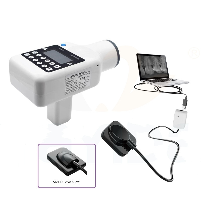 Top China Supplier of Elderly Rehabilitation and Beauty Care Products Top China Supplier of Elderly Rehabilitation and Beauty Care Products