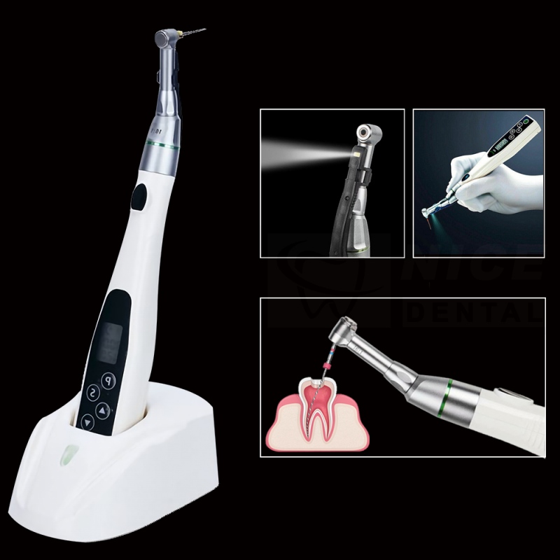 Top China Supplier of Elderly Rehabilitation and Beauty Care Products