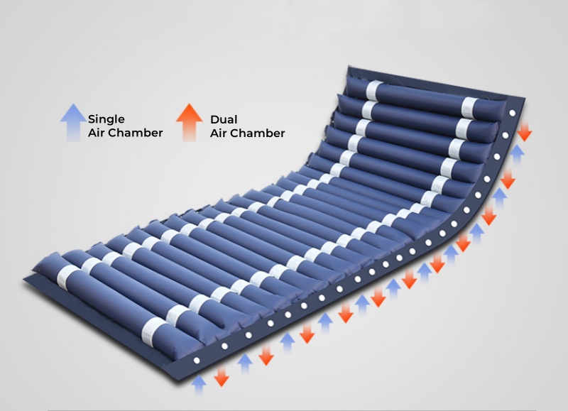 Top China Supplier of Elderly Rehabilitation and Beauty Care Products