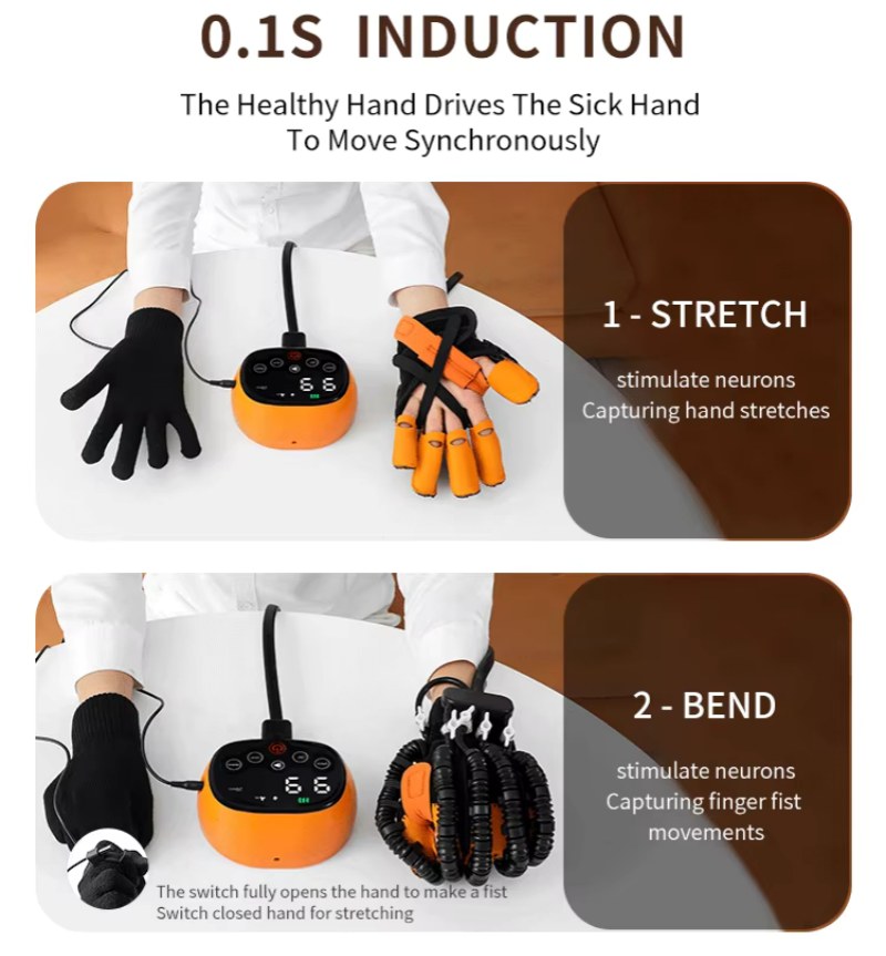 Top China Supplier of Elderly Rehabilitation and Beauty Care Products