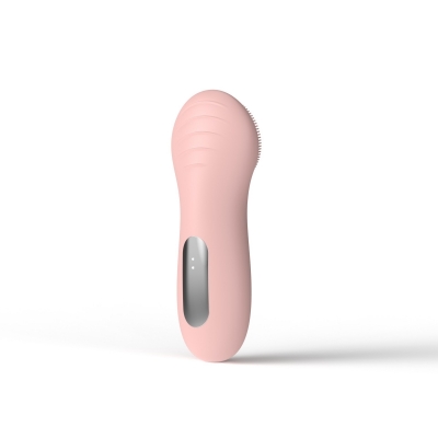 Rechargeable Facial Massager & Cleansing Brush for Women